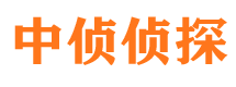 绿春侦探